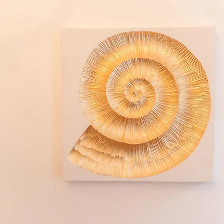 Comfortable In - 55 M² With Garden Terrace Lejlighed Bad Schandau